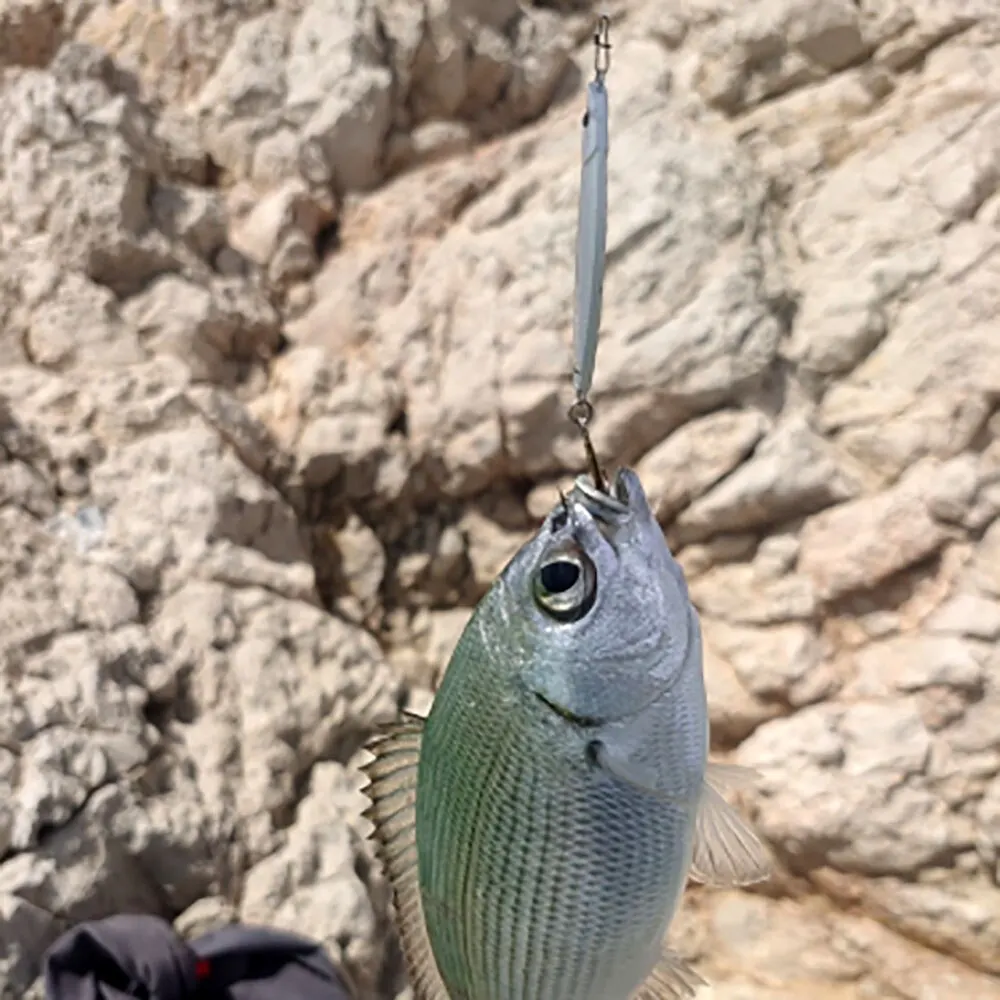 Metall jig Angel köder 20g Landguss haken Swimbait künstliche Köder-Laser abdeckung Pesca See Hecht Bass Zubehör Spinn gerät – Detail 5