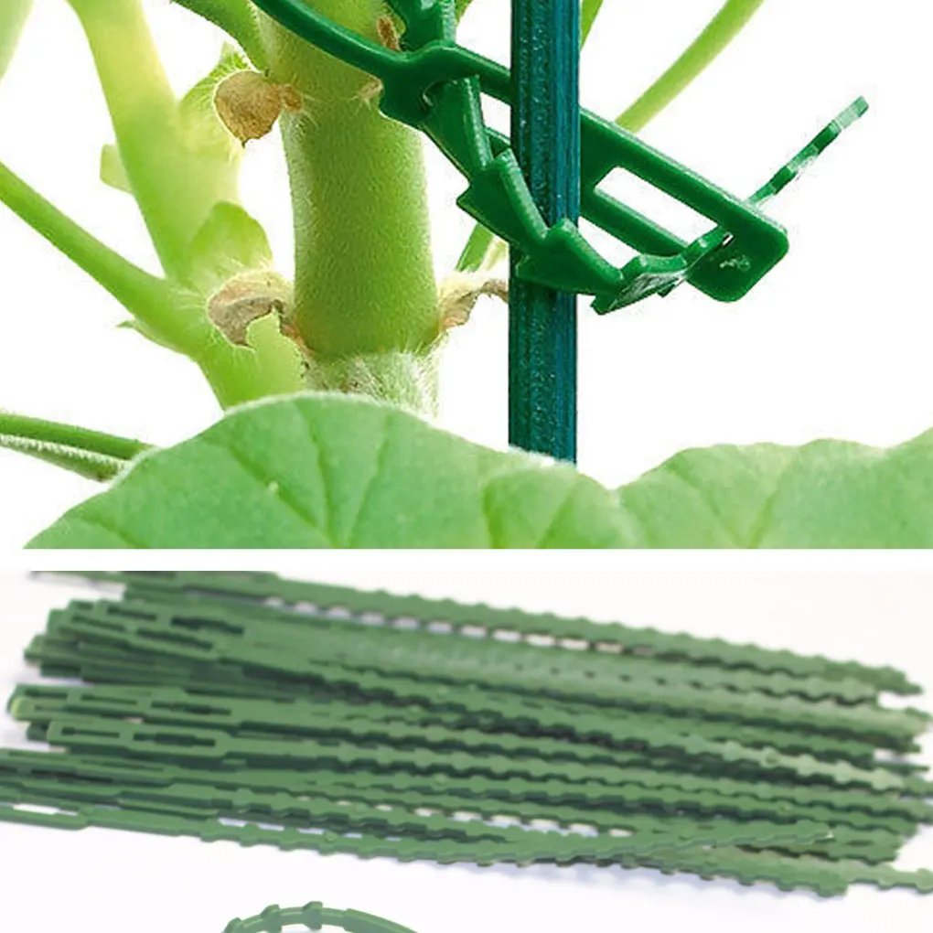 

30 Pieces Plant Cable Ties Plants Care Reusable Support Cord Fastener
