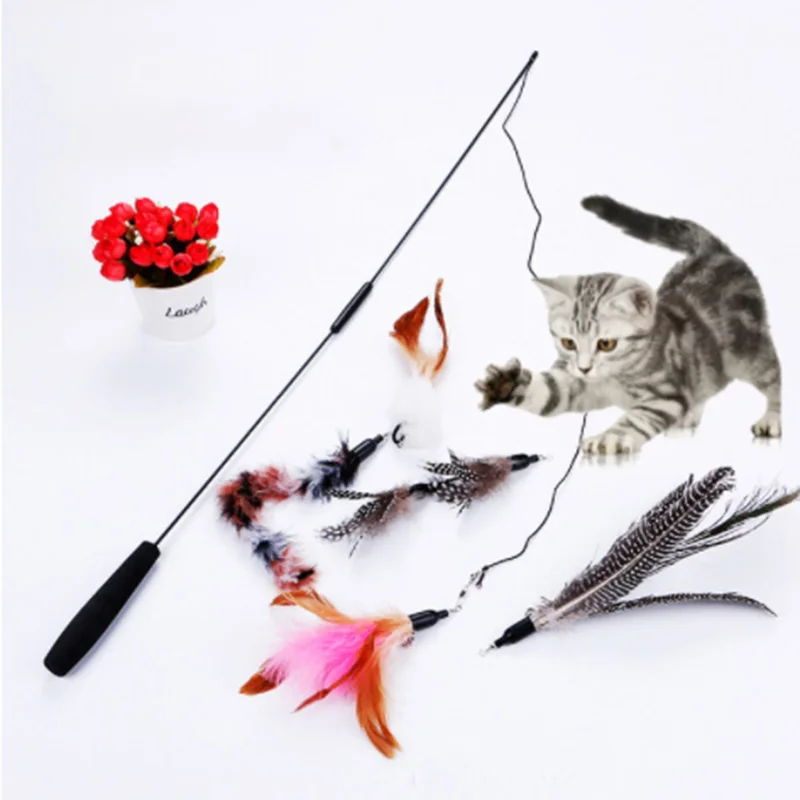 고양이 깃털 지팡이 스틱 와이어 티저, 새끼 고양이 댕글 벨, 인터랙티브 재미있는 놀이 장난감, 6 개 세트
