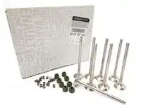 8201627433 Per Scarico Subap M9T/M9R Tkm,M9R Laguna Iii Trafic Dci Kadjar Oashoai