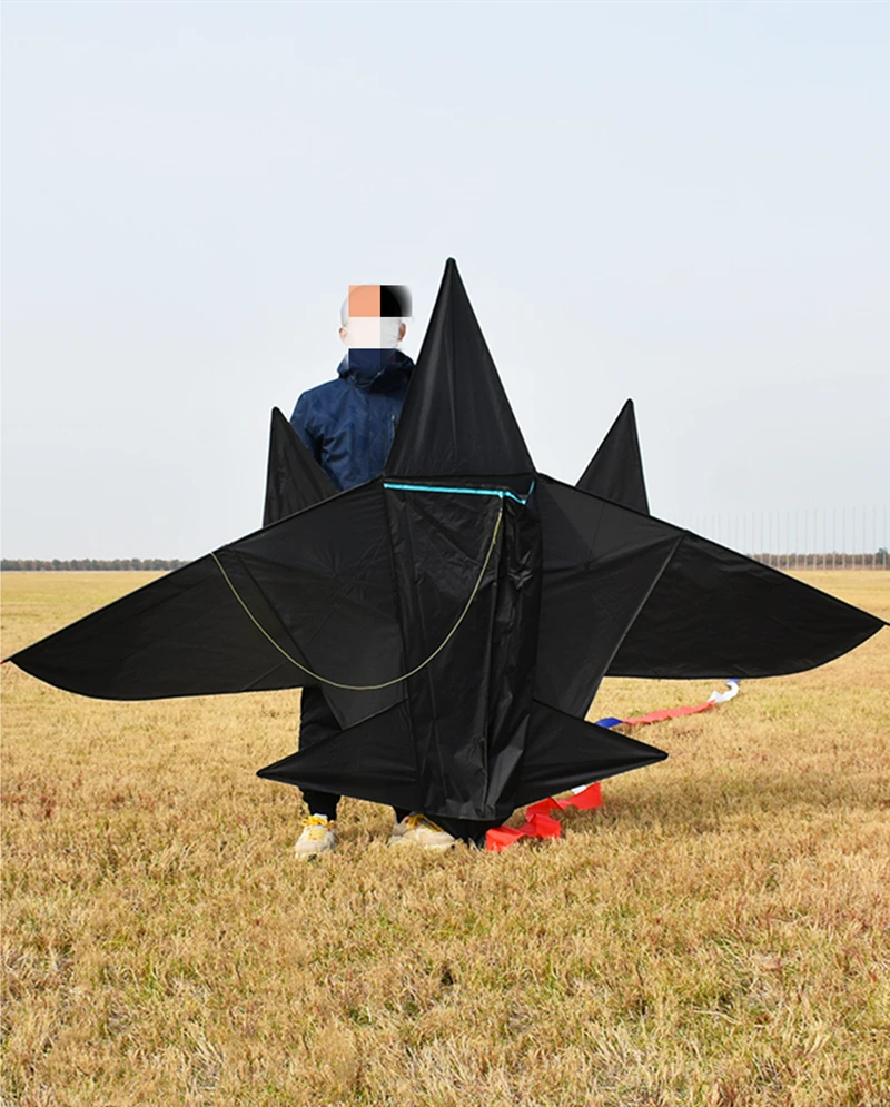 free shipping plane kite reel kid kite parachute kitesurf beach kite parafoil kite outdoor games Wind power goldfish kite jouer 5