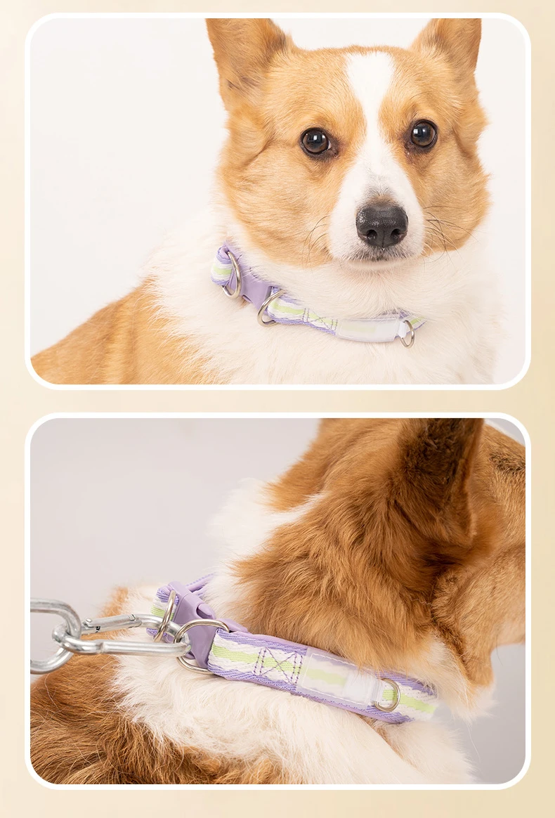 Adjustable Cotton Dog Collar With Plastic Buckle For Pets_voghion.com