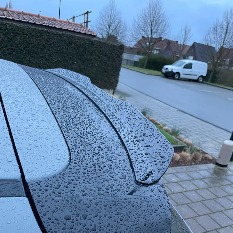 Per Hyundai I30N Mk3 Mk3.5 Hatchback Posteriore Tetto Labbro Spoiler Ala Maxton Stile Auto Coda Ala Decorazione Accessori Auto Tuning