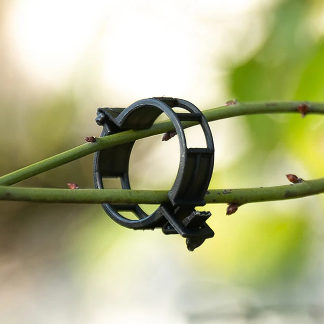 50/100 Darabos Műanyag Növényi Klipek Támogatók Összekötik Az Újrahasznosítható Védelem Oltását. Rögzítő Növény Zöldség Paradicsomos Szerszámok Kertkészletek - Image 6