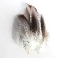 50PCS Natural Barred Mallard Duck Flank Feathers Wings Tails Streamers 5