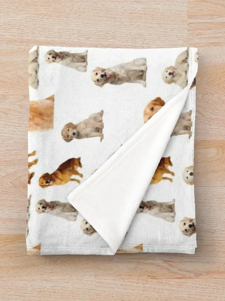 ��� ��Ʈ���� �ɸ��� ���� ������ ���, ���� �̺�, ��� ǫ���� ���� ���