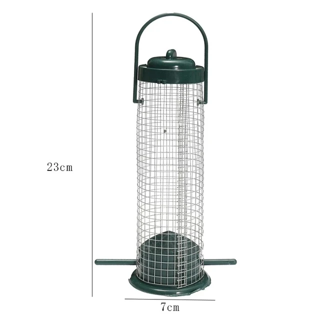 Image 6