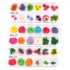 JCD 12 Grids 3D Dried Flowers Nail Art Decoration Real Natural Floral Sticker Designs Dry Flower Decals DIY Manicure Accessories 6