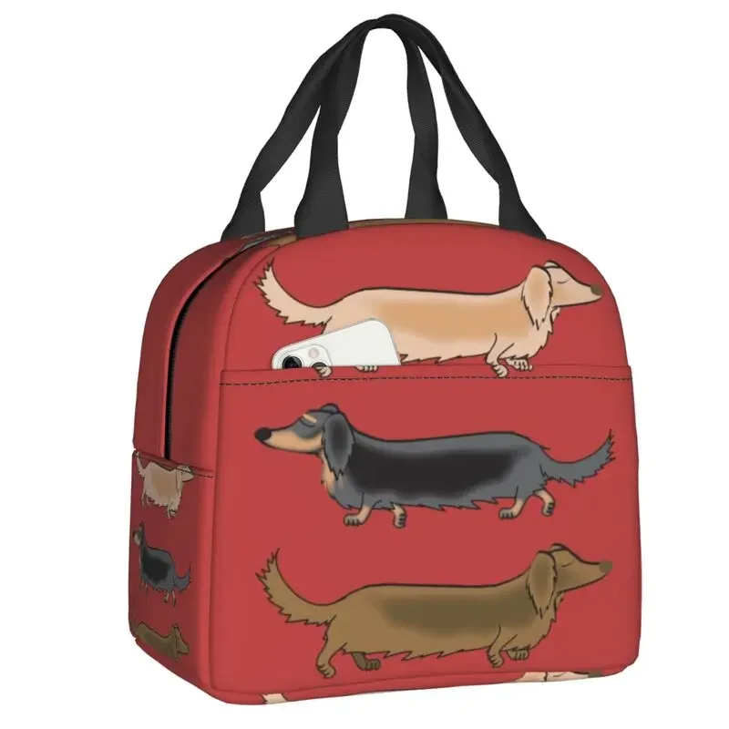 

Dachshund Dogs Insulated Bag for Women Portable Wiener Sausage Dog Cooler Thermal Lunch Tote Kids School Children