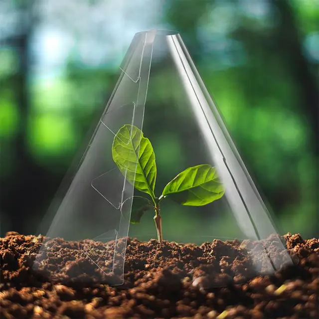 10/20 db Növények Kerti Cloches Tiszta Kúp Alakú Védelem A Növénytől Madarakból Fagyos Csigák Állati Fiatal Csengő Burkolat Jar Kupola - Image 3