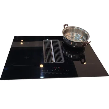 Home Appliances Induction Cooker With 2 Burners Induction Built in Oven Germany IGBT