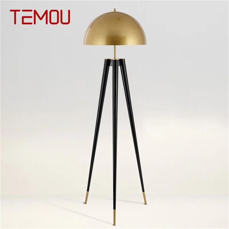 TEMOU 북유럽 플로어 램프 모던 LED 크리에이티브 스탠딩 라이트, 해파리 모양, 침실 거실 장식