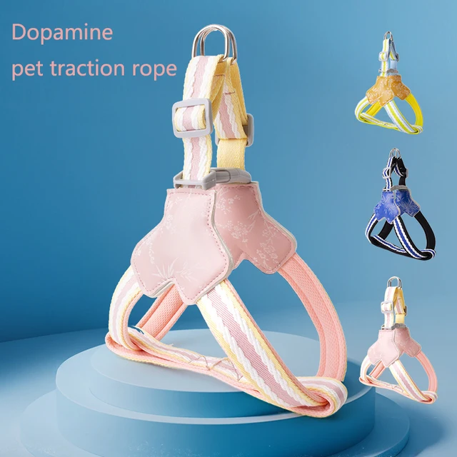 High-quality pet chest and back leash, dog chest and back strap, suitable for small and medium-sized dogs all year round 2