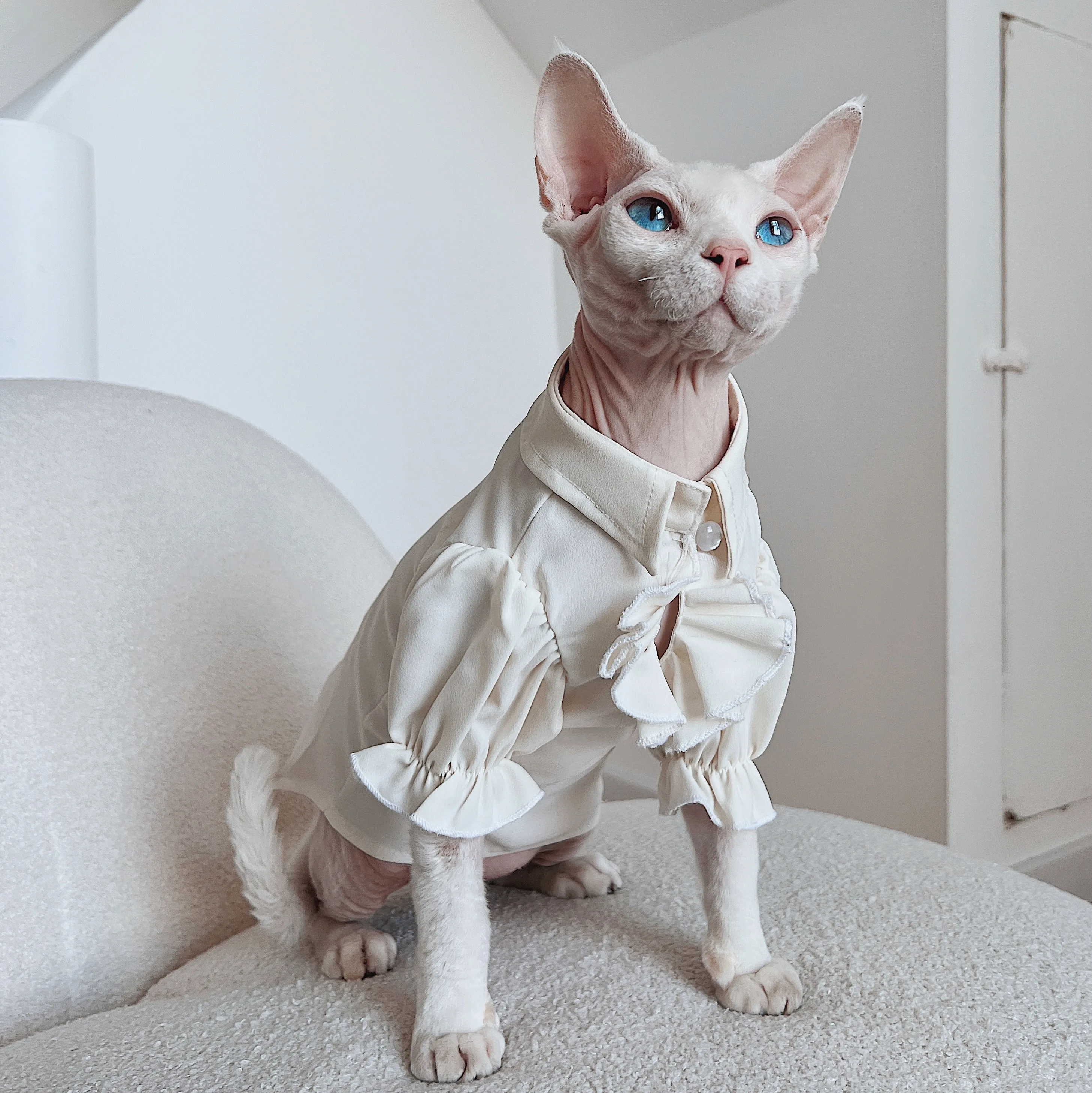 Cat Clothes/size Large/sphynx Cat Jacket/cat Shirt/cat -  UK