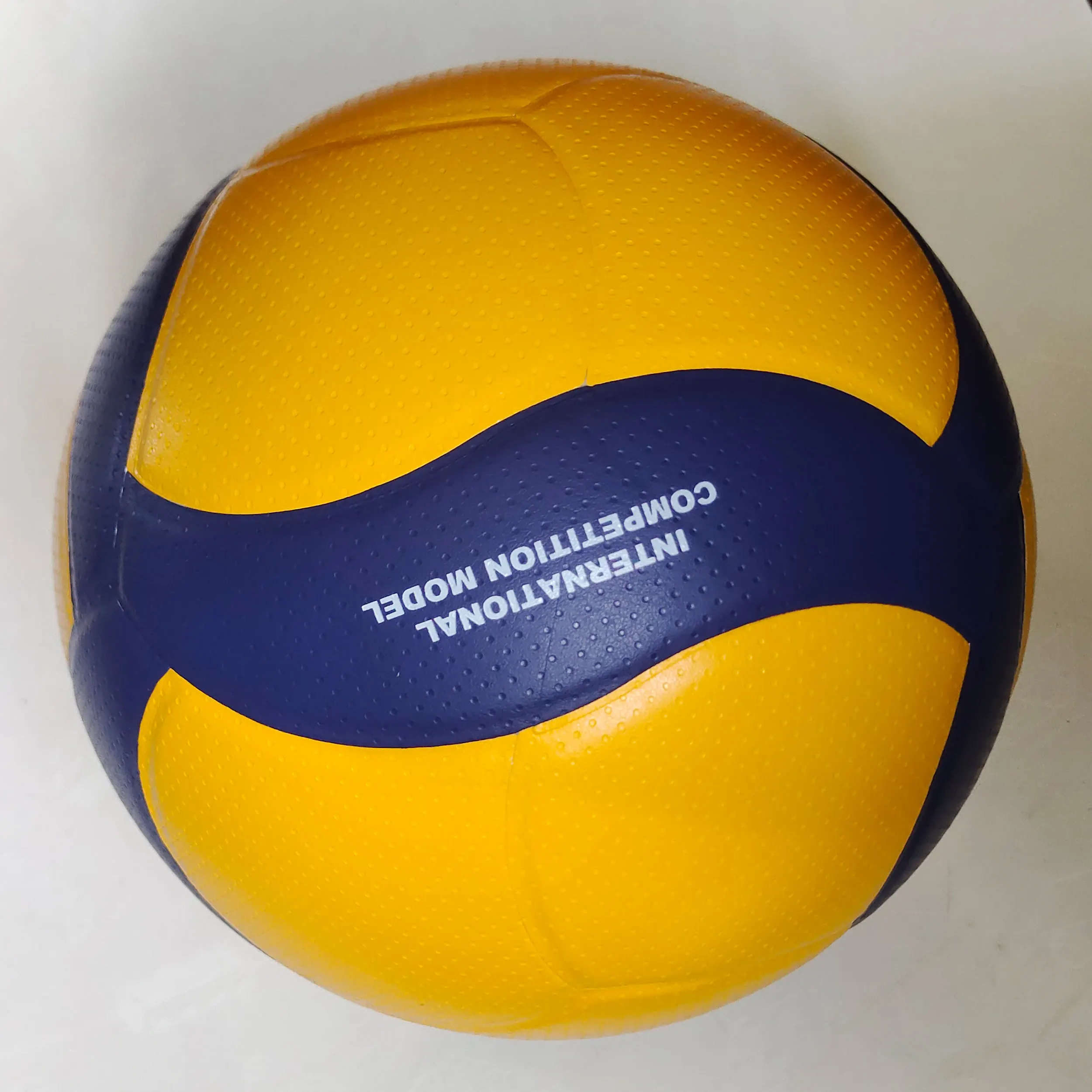 Model 200 Professional Volleyball 2