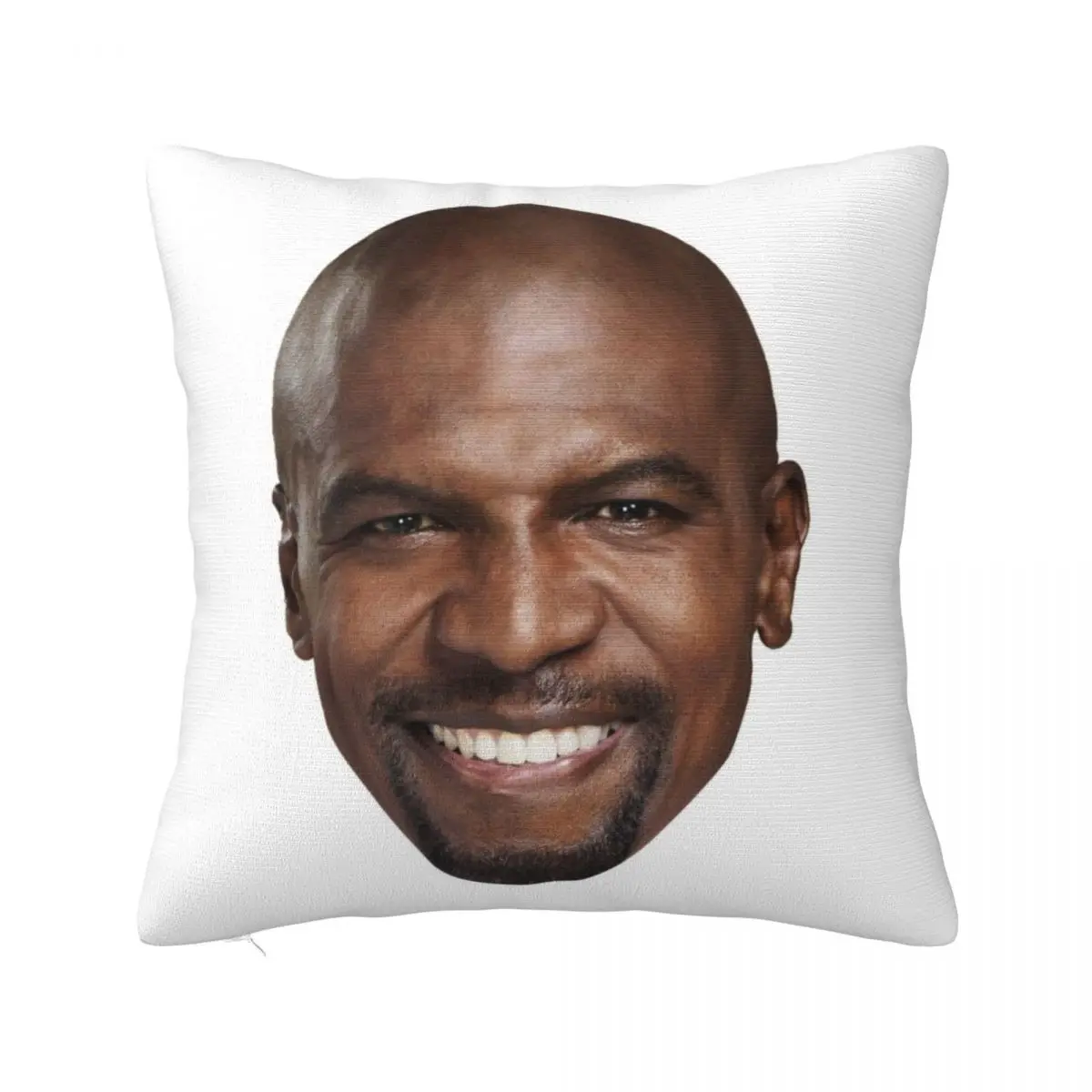 

Terry! Throw Pillow Marble Cushion Cover Pillow Case Christmas
