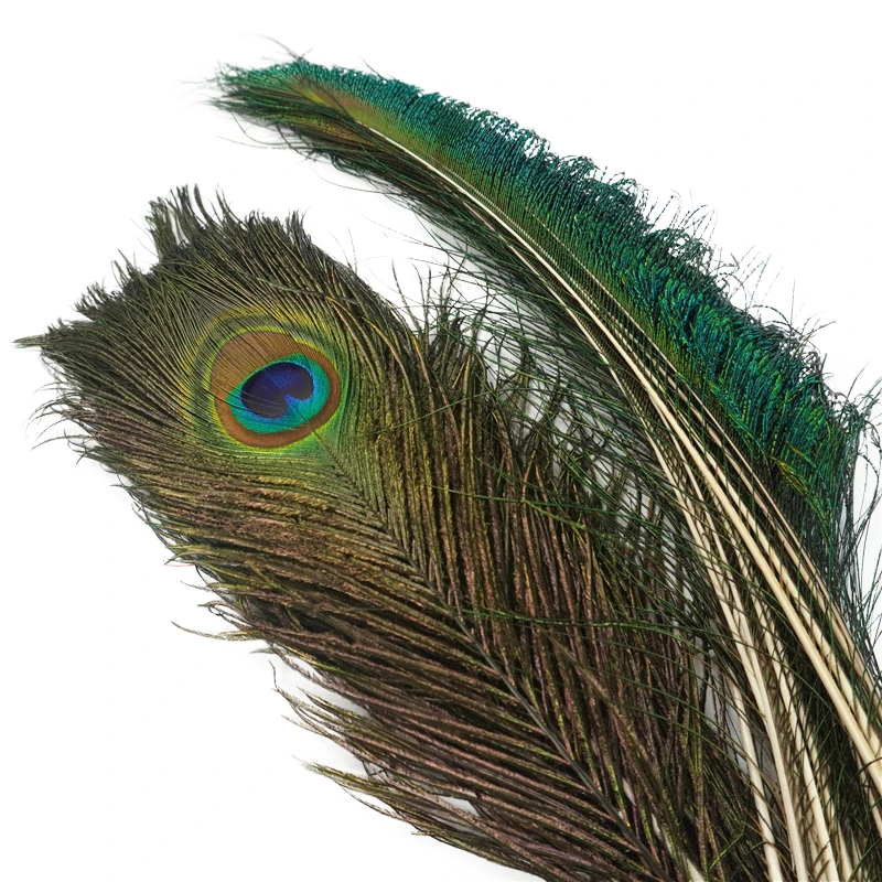 Description Picture 6 of item10Pcs Natural Real Peacock Feathers for Decoration Craft Item Long Plumes Feather Decor Wedding Jewelry Handicrafts Accessories