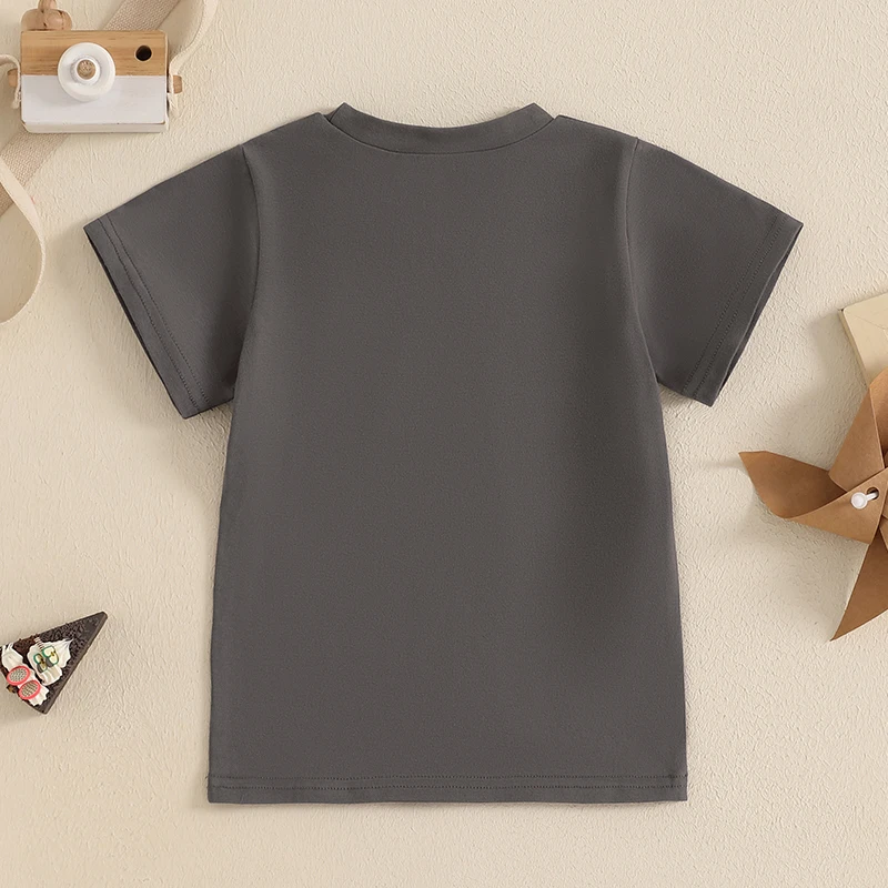Toddler Boy Birthday T-Shirt Guitar Letter Print Short Sleeve Round Neck Graphic Tops