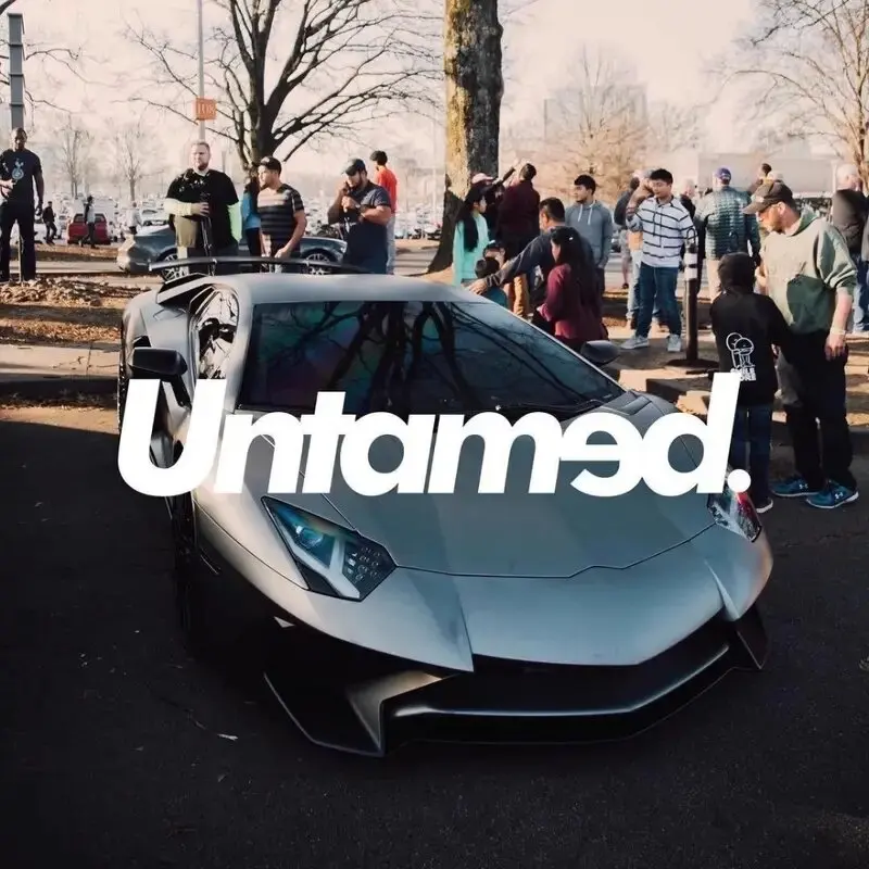 Untamed Stickers: Creative & Fashionable High-Quality Decals for Cars, Trucks, Motorcycles, and Laptops