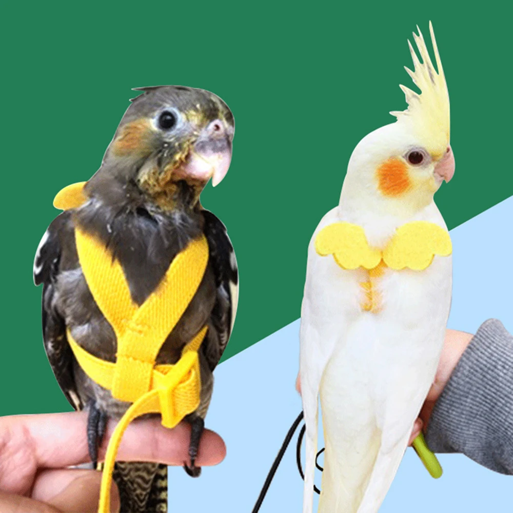 Bird Harness Leash Adjustable Parrot Bird Harness Leash Set Anti-bite Training Harness Parrots Outdoor Flying Rope Cockatiel Small Birds Supplies