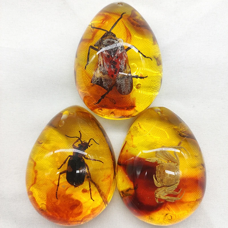 Insects Amber Gemstone Scorpion Natural Mineral Stones 1PC for DIY Hand Crafts Gift Home Decoration