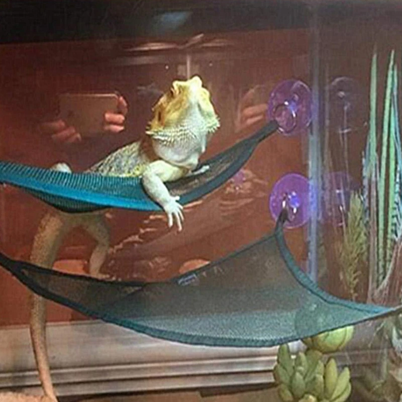 Reptile hammock 2Pcs Hanging Reptiles Bed with Suction Cup Reptiles Mesh Hammocks Habitat Ornaments for CHAMELEON Iguana