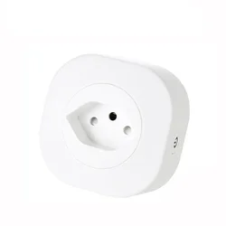 Smart WiFi 16A Swiss Plug with Voice Control and App Integration (WHITE)