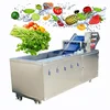 Circulating Water Chestnut Portulaca Ormosia Washer Conveyor Tremella Fruit Vegetables Clean Washing Machine 1