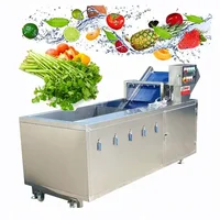 Circulating Water Chestnut Portulaca Ormosia Washer Conveyor Tremella Fruit Vegetables Clean Washing Machine 1
