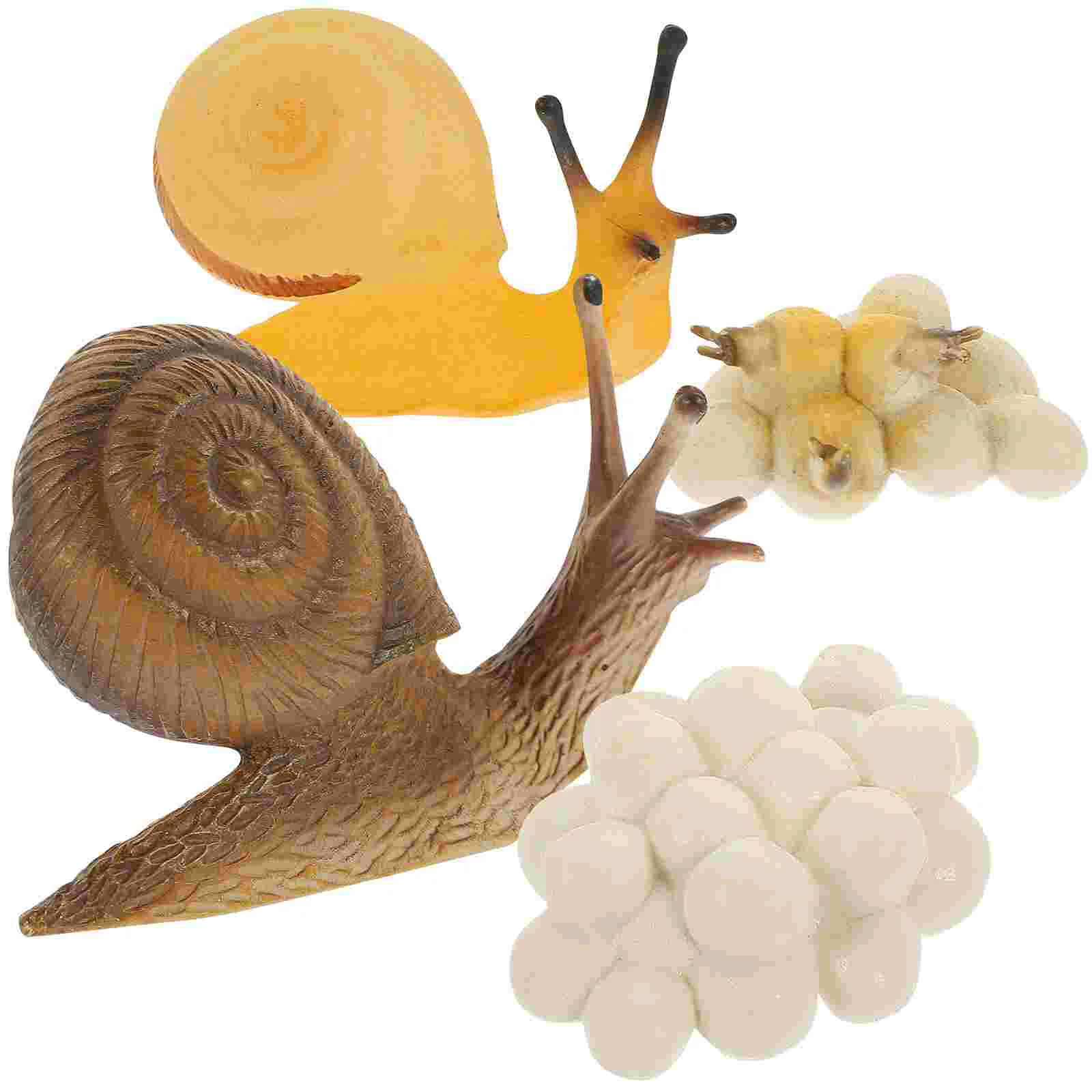 

1 Set Snail Growth Toys Snail Growing Cycle Toys Cartoon Snail Models Simulated Snail Playthings