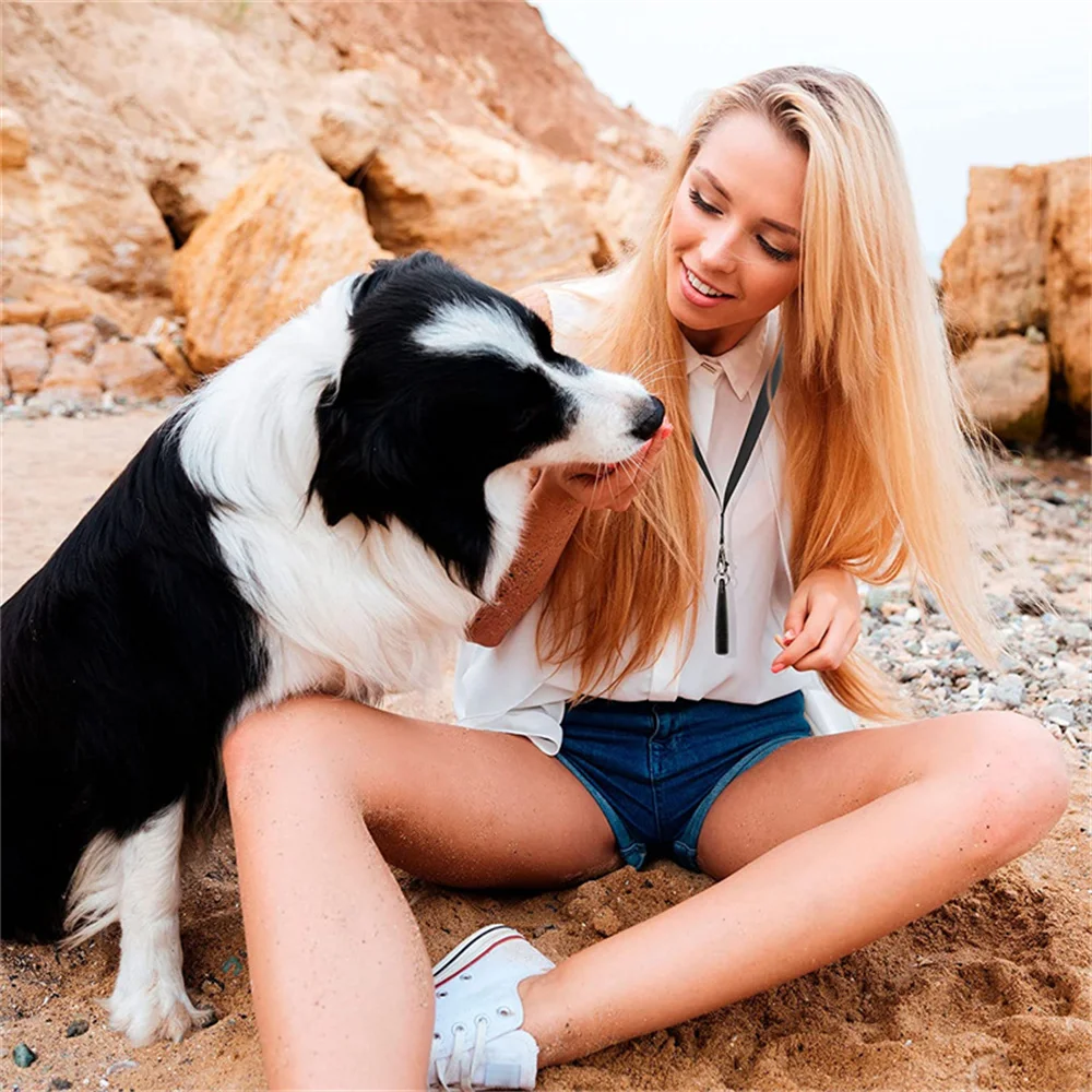 High Pitch Dog Whistle with Lanyard Dog Supplies for Recall Stop Barking Whistles Pet Training Behaviour Aids Accessories dog whistle