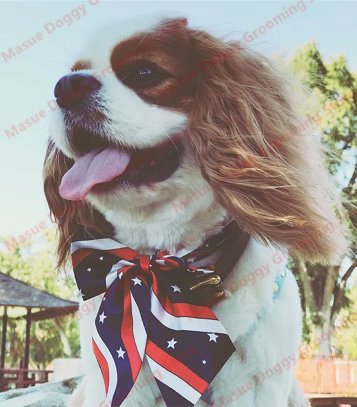 Bulk Dog Bow Tie For Big Dog Bowties Neckties Solid Dog Pet Grooming For Dog Wedding Supplies Dog Accessories For Small Dogs 3