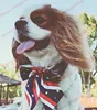 Bulk Dog Bow Tie For Big Dog Bowties Neckties Solid Dog Pet Grooming For Dog Wedding Supplies Dog Accessories For Small Dogs 3