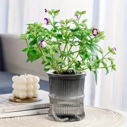 Self-Watering Lazy Hydroponic Flower Pot - Transparent Double-Layer Design (Gray)