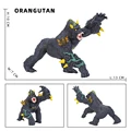 ORANGUTAN