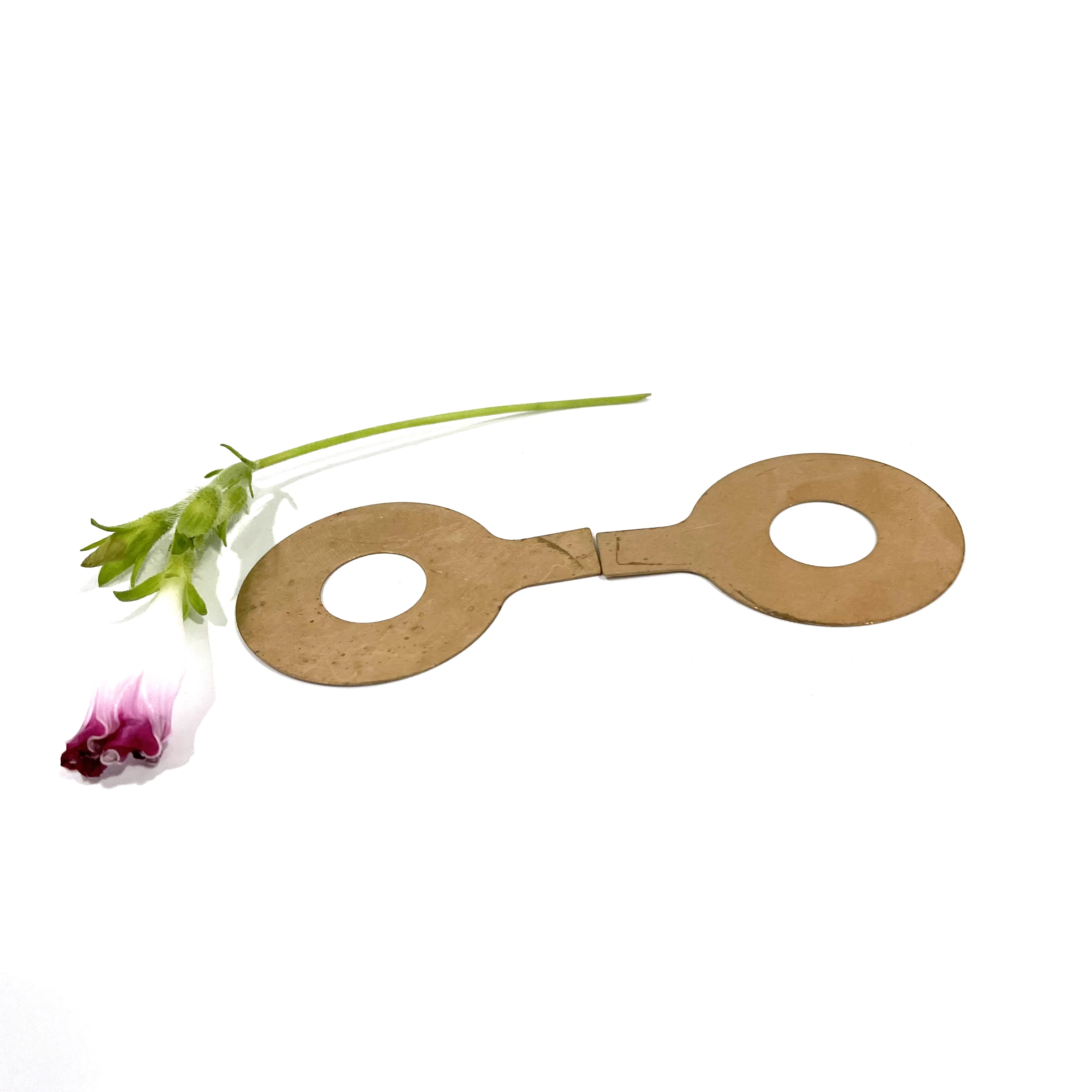 

50X17mm High Conductive Silver-plated Electrode Copper