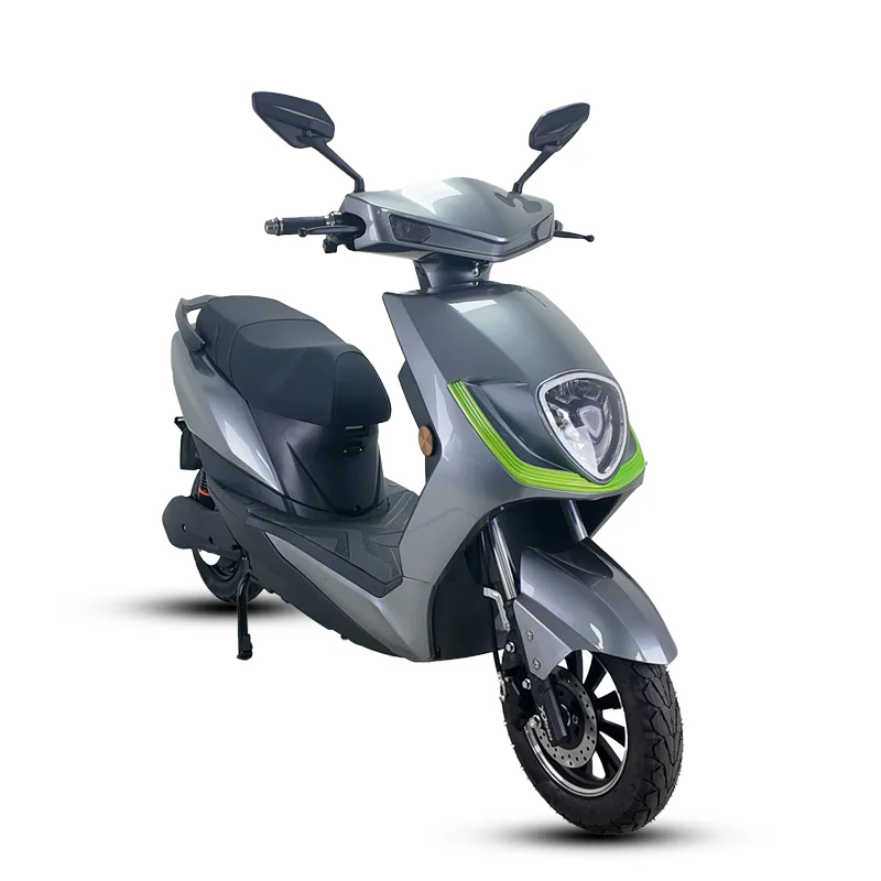 1000W High-Speed Electric Bicycle Motorcycle 4