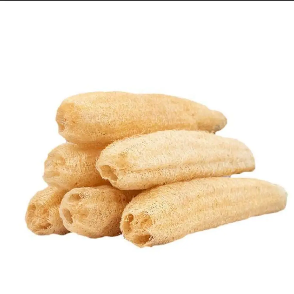 Esponja de Luffa Natural