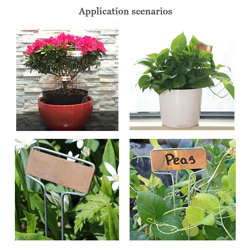Garden labels flower plant labels plant markers 10/25/50x metal plant label stakes 6/8/10inch copper plant tags inserts sign weatherproof marking gardening flowers herbs marker