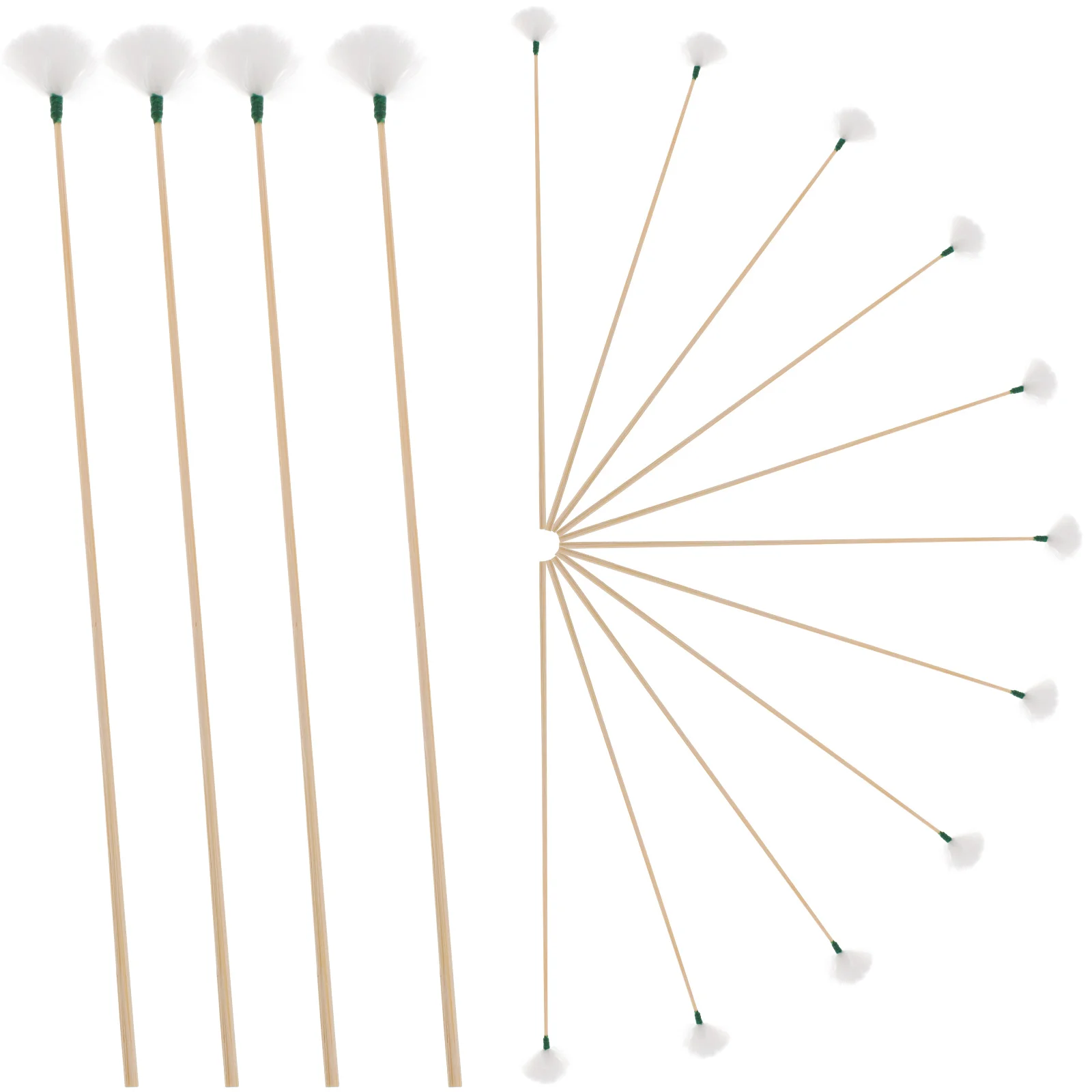 20 Pcs Ear Massage Care Cleaning Accessory Wax Removal Tool Earwax Tweezers Scavengers Kit Cleaner Goose 6