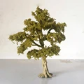 15cm new Agreen