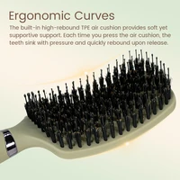 Peigne démêlant en poils de sanglier, brosse à cheveux ajourée, antistatique, Massage du cuir chevelu, outils de coiffure pour Salon de coiffure, cadeau, 1 pièce 4