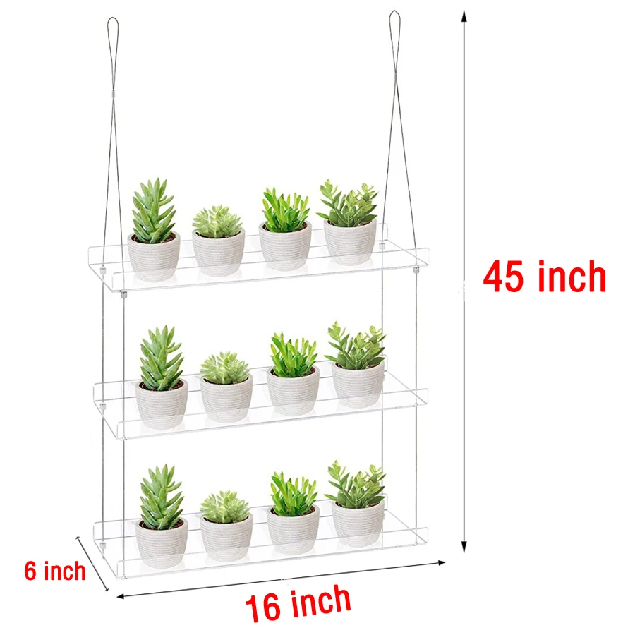 Transparent Acrylic Tulip Succulent Plant Shelves Living Room Window Wall Mounted Garden Flower Stand Balcony Shelves For Plants