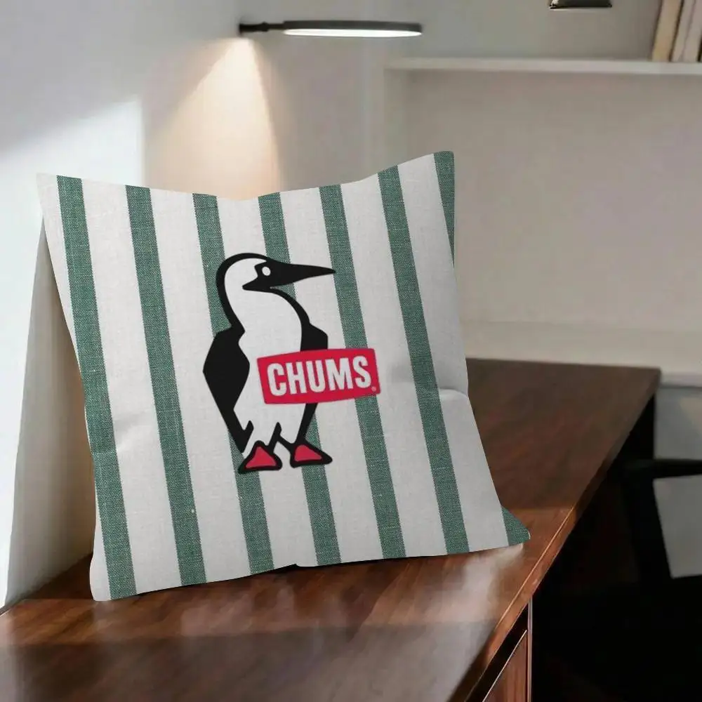 Toon Gift Decorative Pillowcase