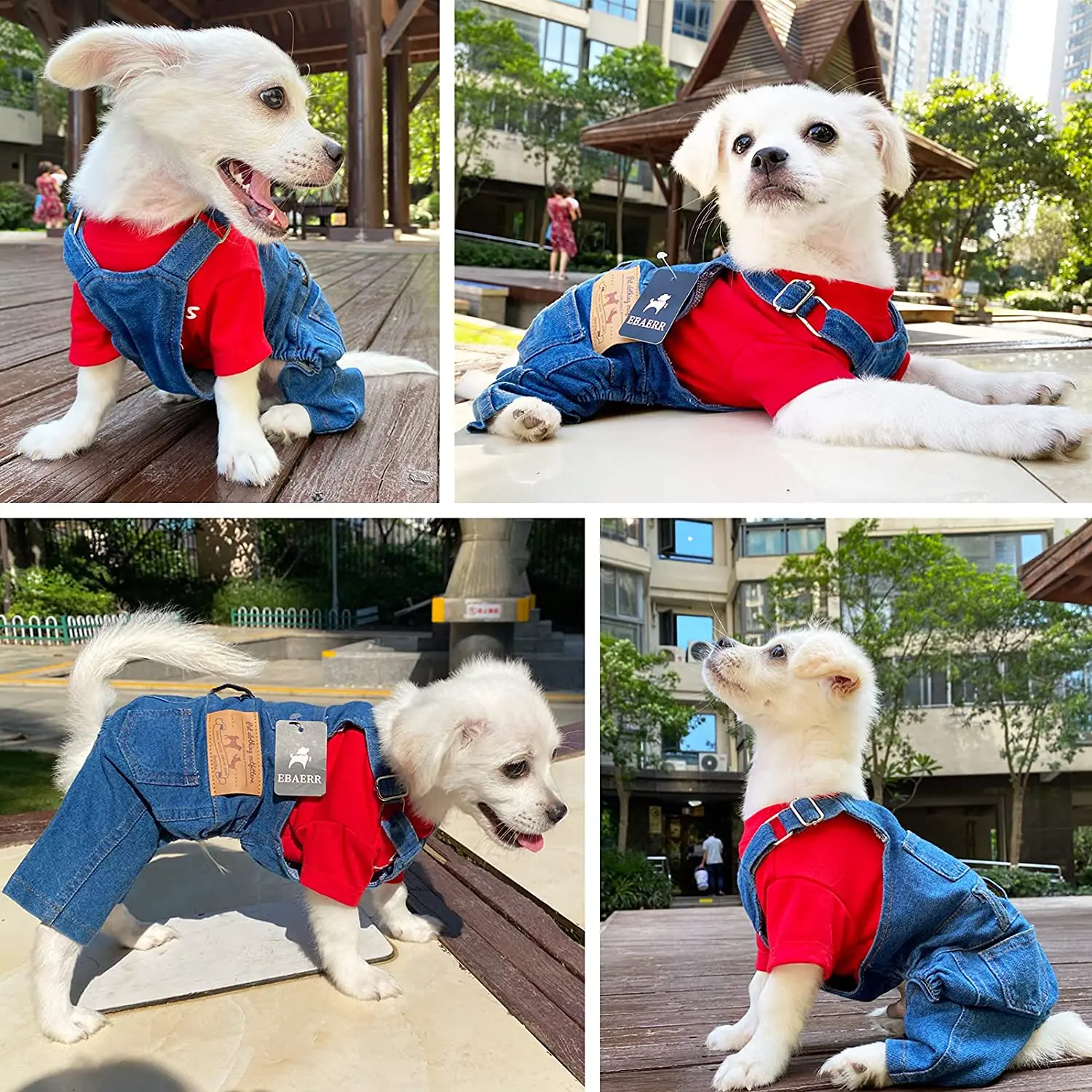 Dog Denim Dungarees | Dog Overalls Pattern|French Bulldog in Clothes | Denim  dog, Dog clothes, French bulldog clothes