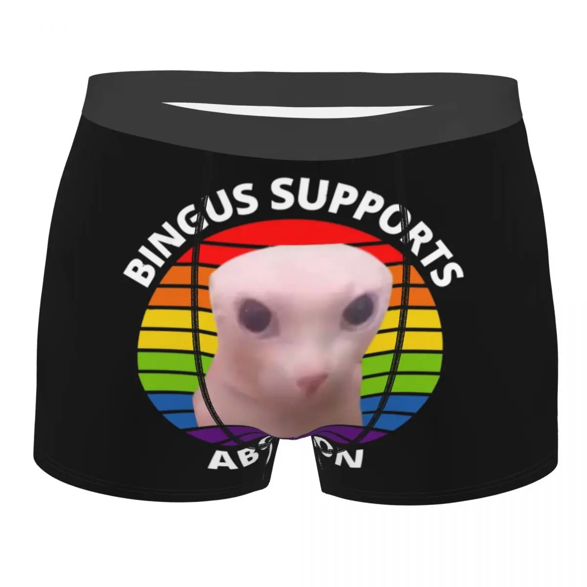 

Man Bingus Supports Abortion Underwear Sphynx Cat Funny Boxer Briefs Shorts Panties Male Soft Underpants S-XXL