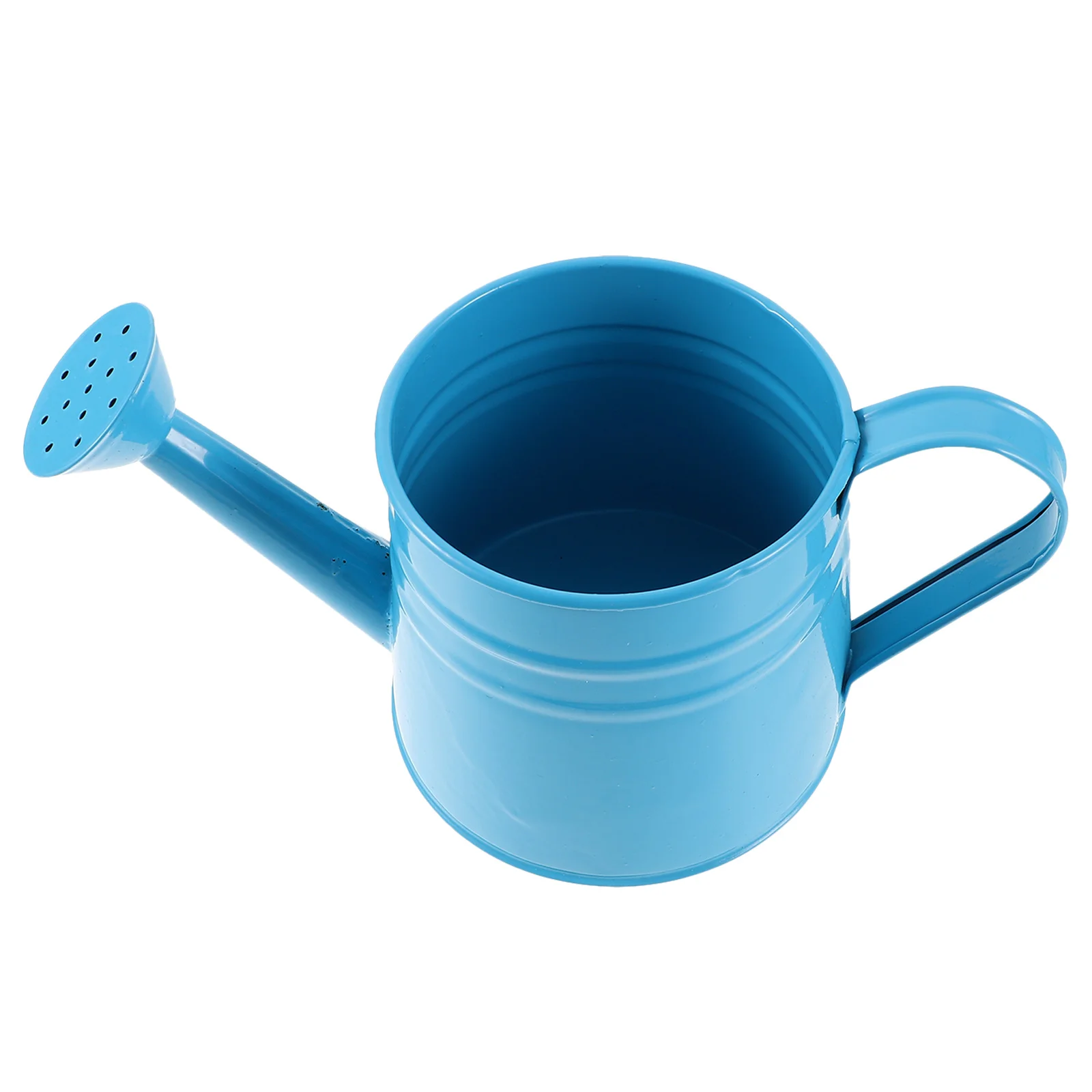 

Tin Flower Watering Kettle Outdoor Pot Plants Can The Flowers Spray Iron Garden