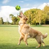 Dog Toy Wobble Wag Giggle Glow Ball Interactive Dog Attention Toy Fun Giggle Sounds Ball When Rolled or Shaken For Pet Dog Fun 6