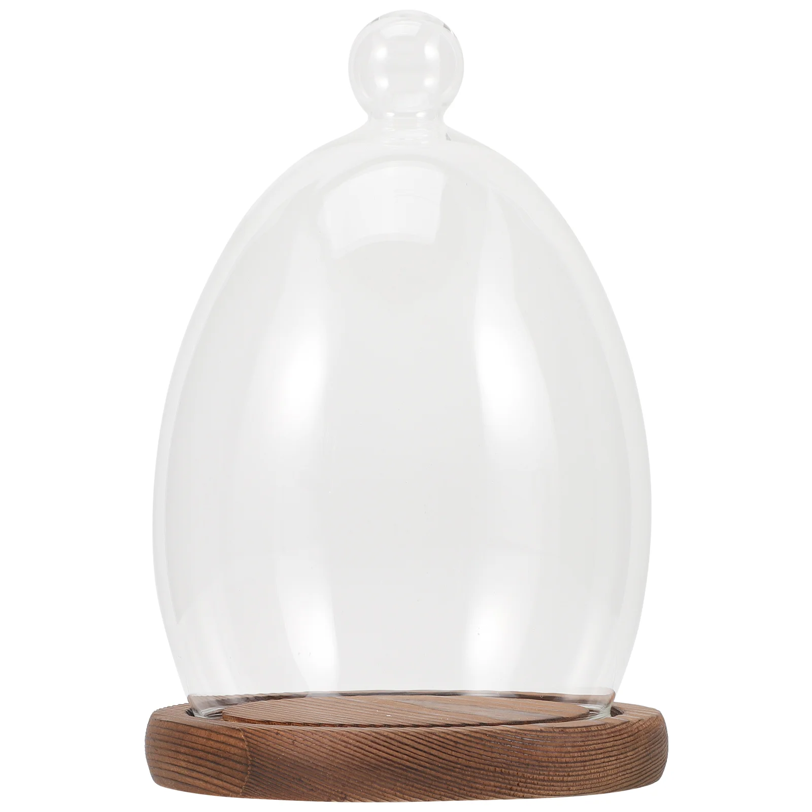 

Multipurpose Valentine's Day Decorative Preserved Flower Glass Cover Glass Dome with Wood Base Glass Landscape Cover