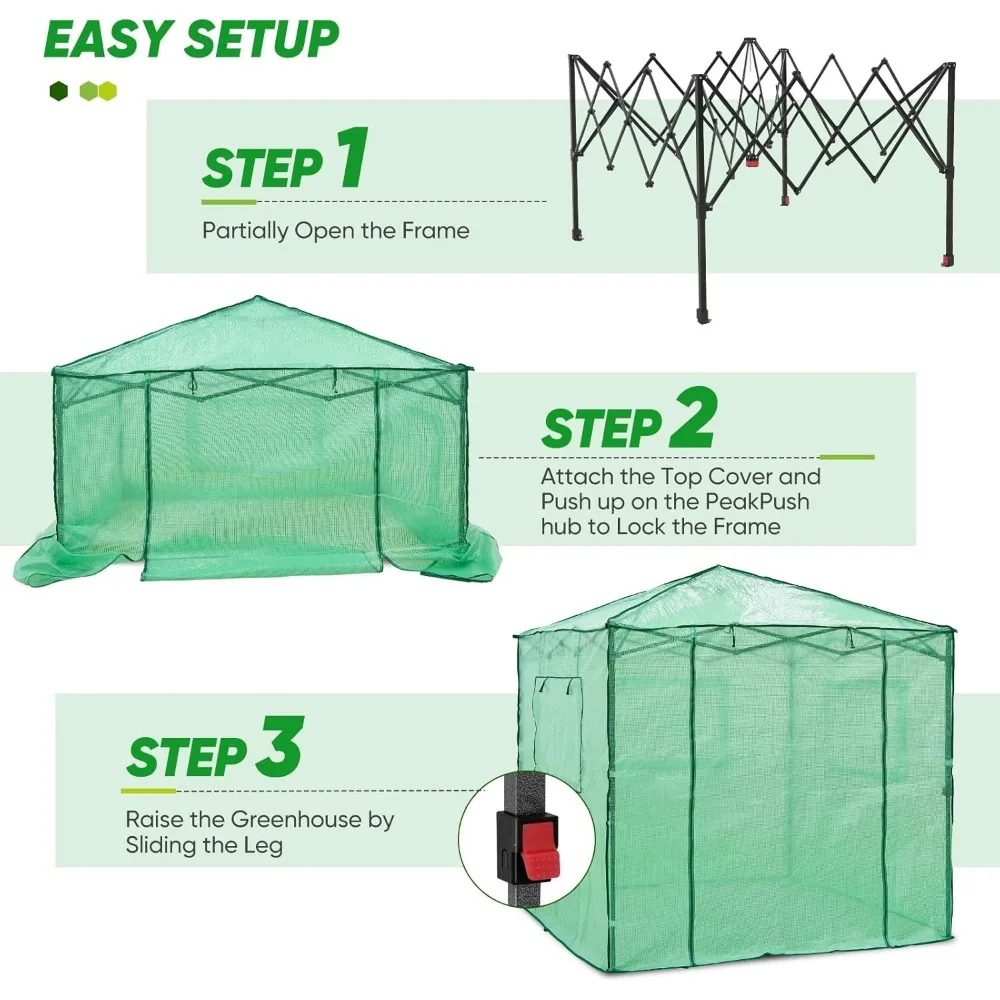 Walk-in Greenhouse Setup
